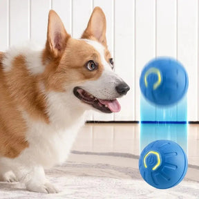 Bola de Brinquedo Inteligente para Cachorro