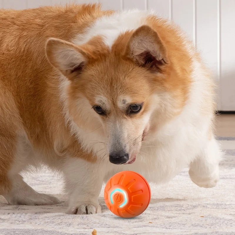 Bola de Brinquedo Inteligente para Cachorro